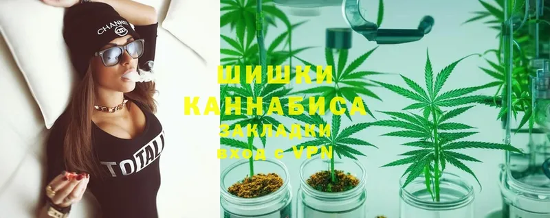 Шишки марихуана THC 21%  Нестеров 